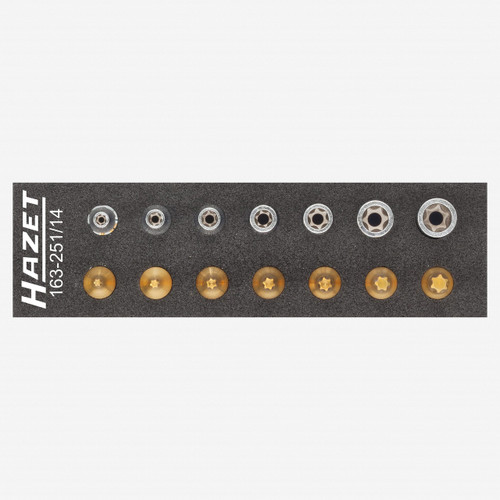 Hazet 163-251/14 Tool set, Torx