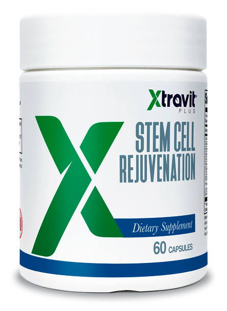 Stem Cell