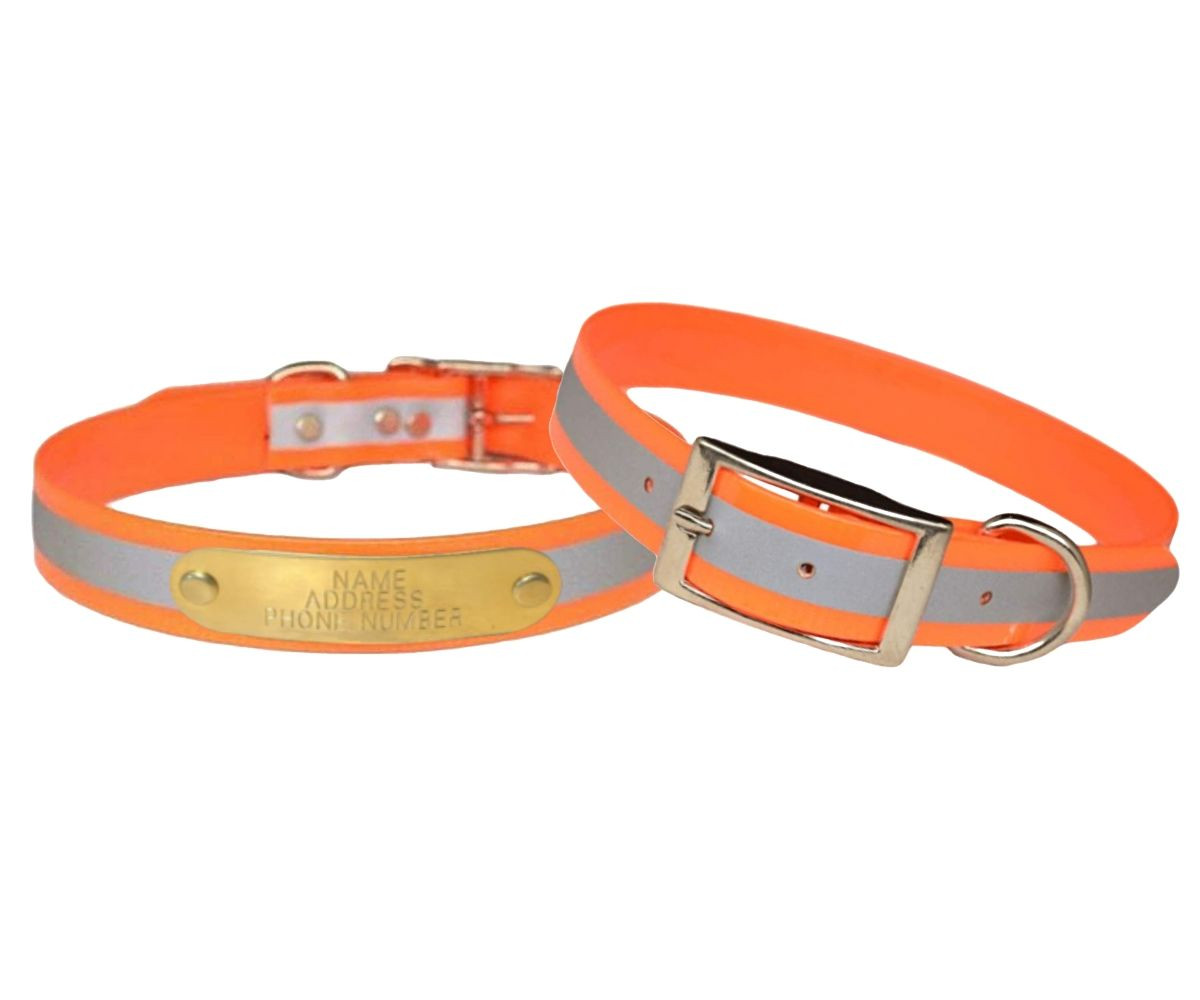 high visibility dog collar