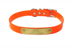 Warner Sporting Dayglo orange dog collar in solid neon orange with 3/4" width. Warner Sporting Dayglo orange dog collar in solid neon orange with 3/4" width.