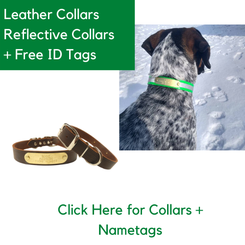 leather nameplate collar and reflective nameplate collars