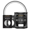 Peinture pour Meubles Brillante - Coton