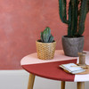 Peinture pour Meubles Mate & Lessivable - Rouge Brique