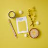 Peinture pour Radiateur, Finition Brillante - Sorbet Citron