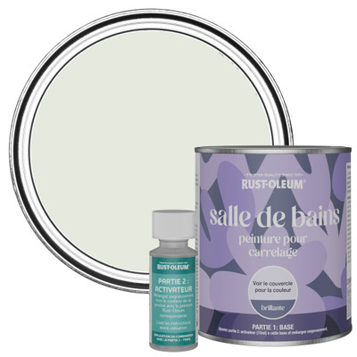 Peinture pour Carrelage de Salle de Bain, Finition Brillante - Sauge 750ml