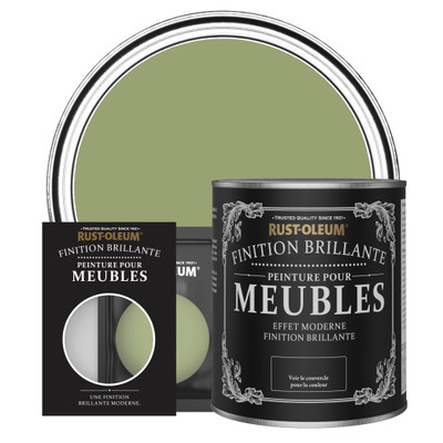 Peinture pour Meubles Brillante - Terrain Connu