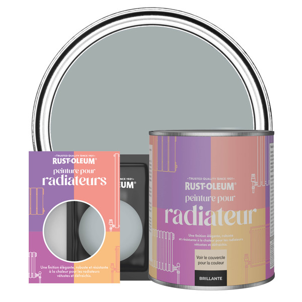 Peinture pour Radiateur, Finition Brillante - Gris Minéral