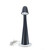 Gooseneck Table Lamp in Black