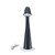 Gooseneck Table Lamp in Black