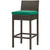Conduit Bar Stool Outdoor Patio Wicker Rattan Set of 2, Fabric Rattan Wicker, Brown Green, 17553