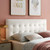 Emily Queen Biscuit Tufted Performance Velvet Headboard, Velvet Fabric, White, 17922