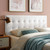 Lily King Biscuit Tufted Performance Velvet Headboard, Velvet Fabric, White, 17947