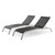 Savannah Outdoor Patio Mesh Chaise Lounge Set of 2, Aluminum, Metal, Steel, Black, 18975