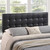Lily Vinyl Queen Headboard in Black