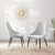 Adorn Dining Side Chair Performance Velvet Set of 2, Velvet, Light Grey Gray, 20864