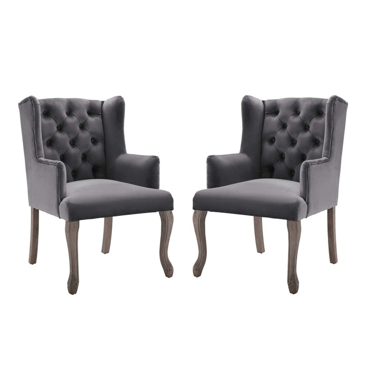 Realm Armchair Performance Velvet Set of 2, Velvet, Grey Gray, 19679