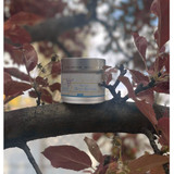 The Comfort of Consistency