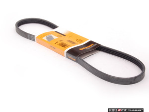 Accessory Belt Kit | ES251240