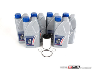 ECS DSG Transmission Filter Kit - Pentosin Fluid