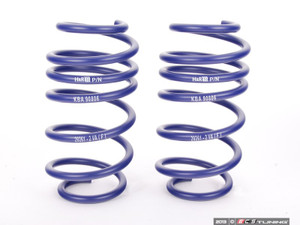 H&R Sport Spring & Koni Adjustable Shocks