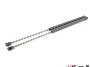 Hood And Hatch Strut Kit | ES2582060