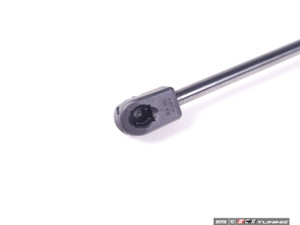 Hood And Hatch Strut Kit | ES2582061