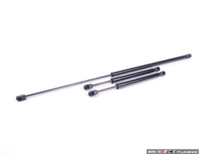 Hood And Trunk Strut Kit | ES2587229