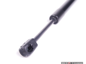 Hood And Trunk Strut Kit | ES2587229