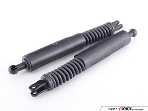 Hood And Hatch Strut Kit | ES2588090