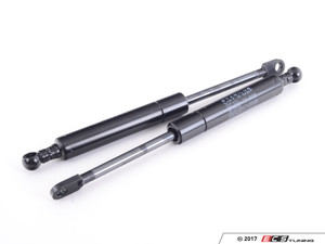 Hood And Hatch Strut Kit | ES2588090