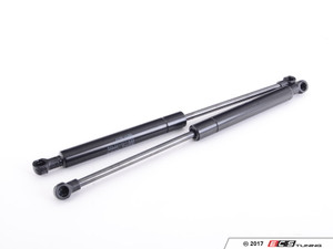 Hood And Hatch Strut Kit | ES2588090