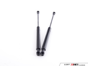 Hood And Hatch Strut Kit | ES2588090