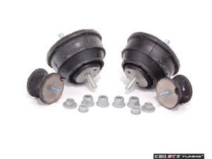 Motor And Transmission Mount Kit | ES2588214