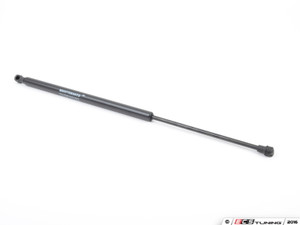 Hood And Hatch Strut Kit | ES2588247