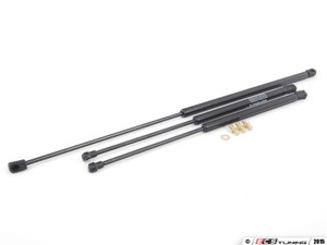 B5 Hood And Hatch Strut Kit
