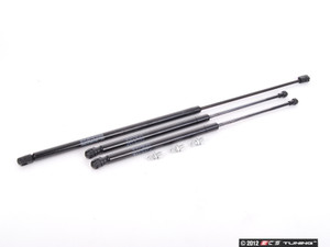 Hood And Hatch Strut Kit | ES2594807