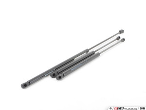 Hood And Hatch Strut Kit | ES2594807