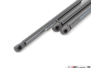 Hood And Hatch Strut Kit | ES2594807