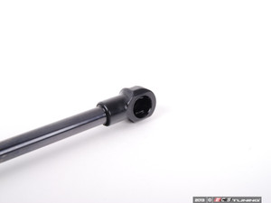Hood And Hatch Strut Kit | ES2594807
