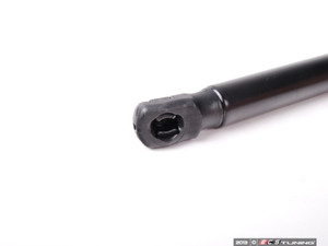 Hood And Hatch Strut Kit | ES2594807