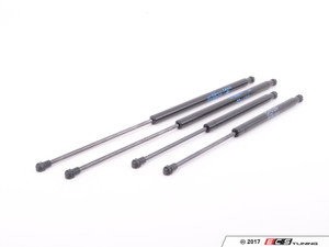 Hood And Trunk Strut Kit | ES2739412
