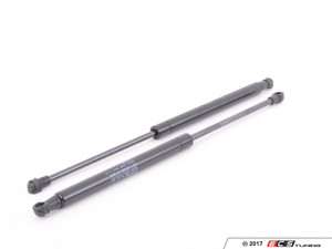 Hood And Trunk Strut Kit | ES2739412