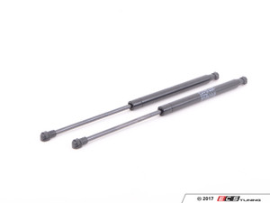 Hood And Trunk Strut Kit | ES2739412