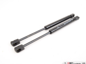 Hood And Trunk Strut Kit | ES2762292