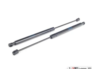 Hood & Hatch Strut Kit