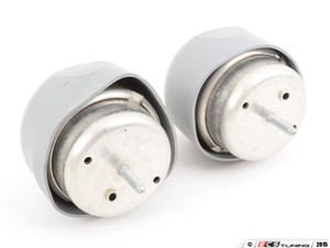 RS4 Engine Mount Kit | ES2863163
