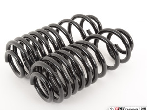 Neuspeed Race Spring & Koni Sport Shocks Combo