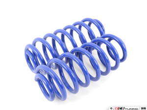 Racingline Sport Springs & Bilstein Sport Shocks