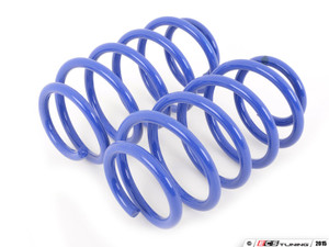 Racingline Sport Springs & Bilstein Sport Shocks