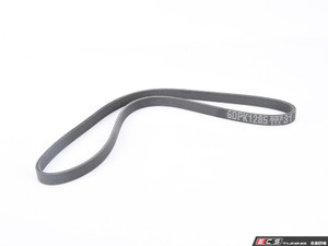 Accessory Belt Kit | ES2952238